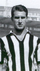 Silvino (II) Bercellino Silvino (II) Bercellino