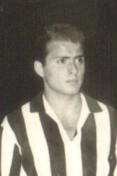 Dario Cavallito