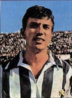 Gino Stacchini